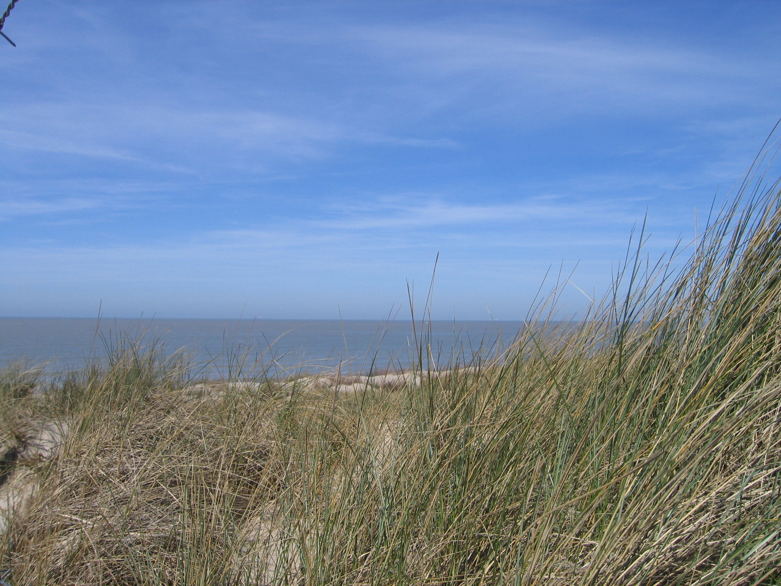 Bredene